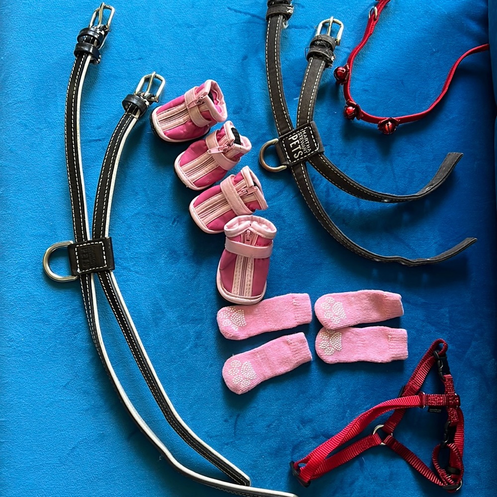 PET BUNDLE - Harnesses, Shoes, Socks, Collar - Great Condition